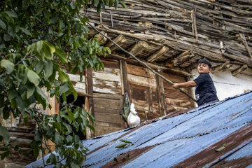«ابوالفضل نور محمدی» دانش آموز کلاس پنجم