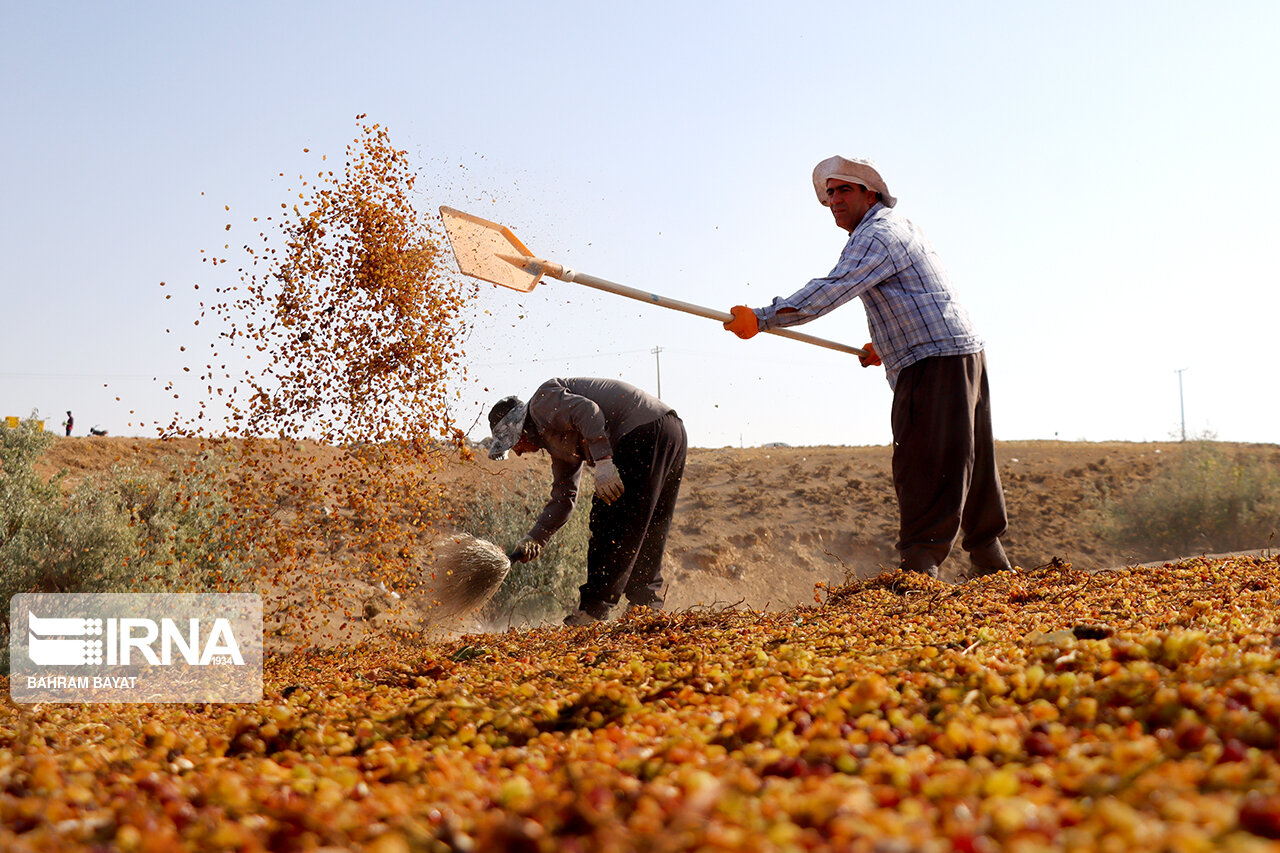 پرداخت ۲۷ میلیارد ریال عیدی به مستمربگیران صندوق بیمه روستایی یزد