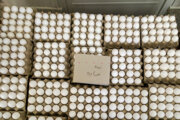 فروش تخم‌مرغ درب واحدهای تولیدی ۴۰ درصد زیر نرخ مصوب