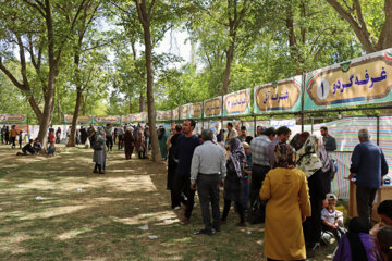 Festival de la noix à Zanjān 