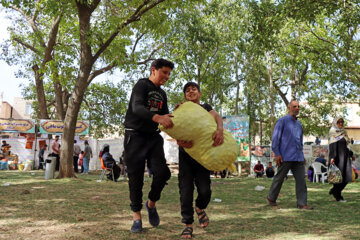 Festival de la noix à Zanjān 