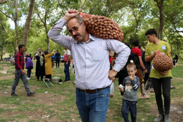 Festival de la noix à Zanjān 