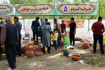 Festival de la noix à Zanjān 