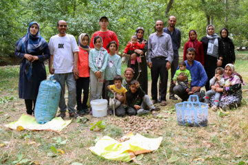 گردوی کاغذی سهرورد