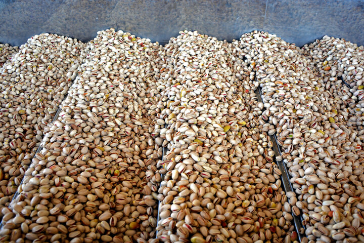 همه پستهکاران کانادانشین نیستند