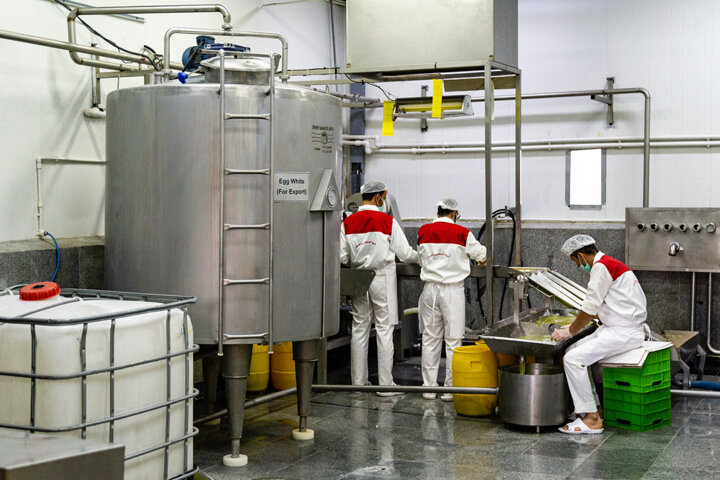 کاشت صبر در کردستان