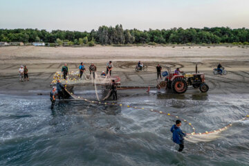 Début de la saison de pêche dans le nord de l'Iran