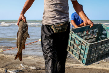 Début de la saison de pêche dans le nord de l'Iran