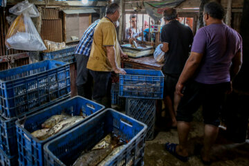 Début de la saison de pêche dans le nord de l'Iran