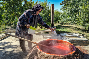 پخت رب سنتی در ارومیه