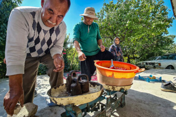 پخت رب سنتی در ارومیه