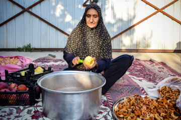 آماده سازی میوه ها برای خشک کردن  در روستای «بیاره» شهرستان سی سخت 