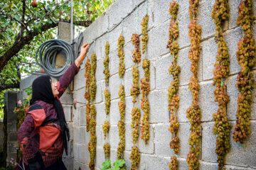 خشک کردن میوه در روستاها «بیاره» شهرستان سی سخت 