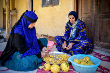 آماده سازی میوه ها برای خشک کردن  در روستای «کوخدان» شهرستان سی سخت 