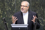 گیس پروڈیوسرز پر پابندی کے ناقابل تلافی اثرات مرتب ہوں گے: ایرانی وزیر تیل