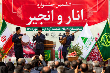 El 6º festival de la granada y el higo en el noroeste de Irán 
