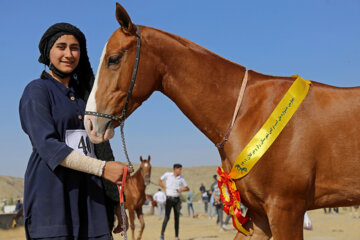 El Festival Nacional del bello caballo turcomano en Jorasán del Norte 