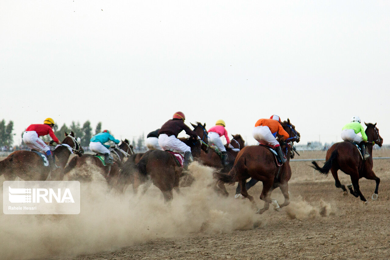سوارکاران باید با اسبهای خود در مسابقات خارجی حضور یابند