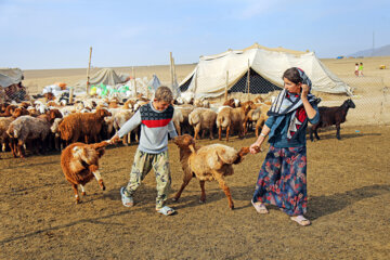 Vacunación de ganados de nómadas en el noreste de Irán