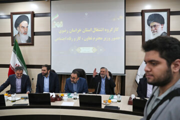سیدصولت مرتضوی وزیر تعاون، کار و رفاه اجتماعی در جلسه کارگروه اشتغال استان خراسان رضوی