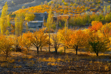 Couleurs d'automne : Sanandaj, dans l’ouest de l’Iran, en image 