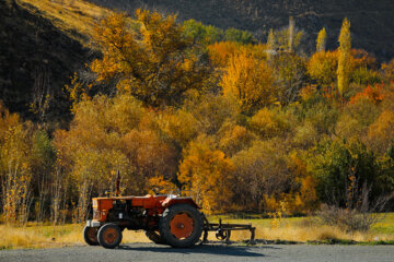 Couleurs d'automne : Sanandaj, dans l’ouest de l’Iran, en image 