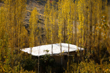 Couleurs d'automne : Sanandaj, dans l’ouest de l’Iran, en image 