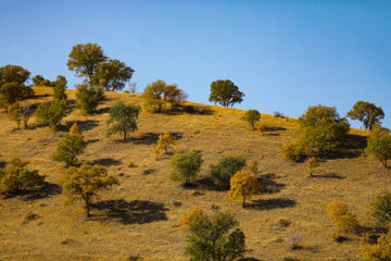 Belleza otoñal en el oeste de Irán