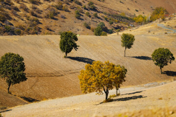 Couleurs d'automne : Sanandaj, dans l’ouest de l’Iran, en image 