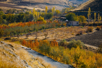 Couleurs d'automne : Sanandaj, dans l’ouest de l’Iran, en image 