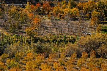 Couleurs d'automne : Sanandaj, dans l’ouest de l’Iran, en image 