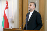 Amir Abdollahian: Die Aktion der Atomenergiebehörde war nicht konstruktiv