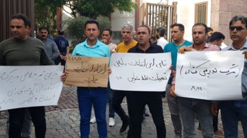 معاون استاندار بوشهر: حل مشکل گوجه‌کاران این استان  در دست پیگیری است