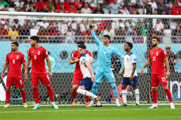 ۲ ایرانی و یک خارجی دیگر هم گزینه مربیگری تیم ملی فوتبال شدند