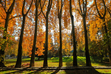 Beauté d'automne à Téhéran