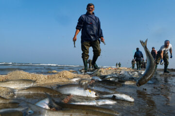 La pêche sur les rives de la mer Caspienne
