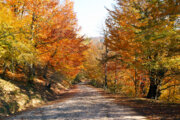 Les couleurs de l’automne au nord de l’Iran