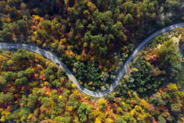 Les couleurs de l’automne au nord de l’Iran 