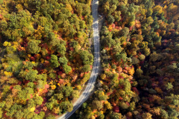 Les couleurs de l’automne au nord de l’Iran 