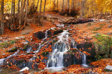 Les couleurs de l’automne au nord de l’Iran 