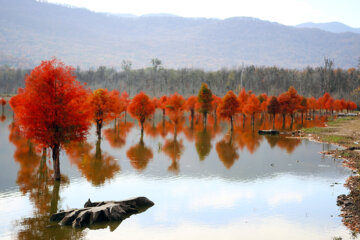 Les couleurs de l’automne au nord de l’Iran 