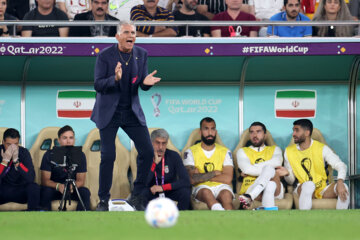 بیک‌زاده: کی‌روش پشتوانه‌سازی نکرد/ تیم ملی باید با مربی ایرانی به جام‌جهانی می‌رفت