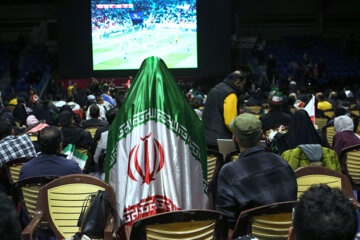 تماشای فوتبال ایران و امریکا در ورزشگاه شیرودی