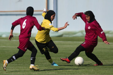 Liga Premier de Fútbol Femenino