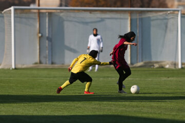 Liga Premier de Fútbol Femenino