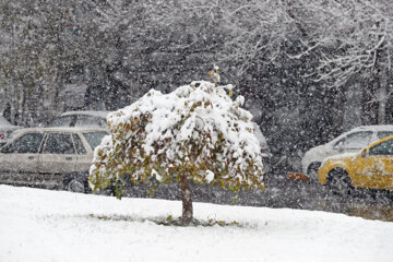 بارش برف پاییزی در مشهد