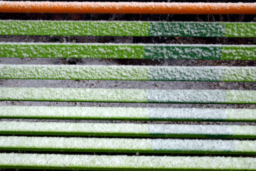 بارش برف پاییزی در مشهد