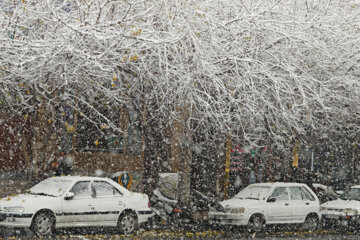 Les premières chutes de neige de la fin de l'automne à Machhad, dans l’est de l’Iran