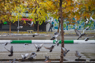 La hermosa lluvia de otoño en Teherán