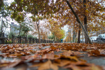 La hermosa lluvia de otoño en Teherán